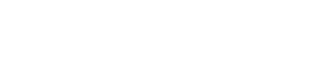 Social Impulse Agency
